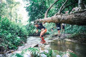 BIB: 
                            <button type="button" onclick="openModal(25436127)" class="btn btn-primary btn-sm float-right btn-popup" data-toggle="modal" data-target=".modal-high-quality">
                        <i class="fas fa-shopping-cart"></i> Add to Cart
                    </button>
                                            <button type="button" onclick="isThisMe(25436127, true)" class="btn btn-success btn-sm float-right btn-popup btn-isme hidden" data-toggle="tooltip" data-placement="bottom" title="นี่คือรูปของคุณใช่ไหม คลิกที่นี่เพื่อเอาเข้าอัลบั้ม">
                        <i class="fas fa-plus"></i> Add to album
                    </button>
                    <button type="button" onclick="isThisMe(25436127, false)" class="btn btn-warning btn-sm float-right btn-popup btn-isnotme hidden">
                        <i class="fas fa-ban"></i> Remove from album
                    </button>